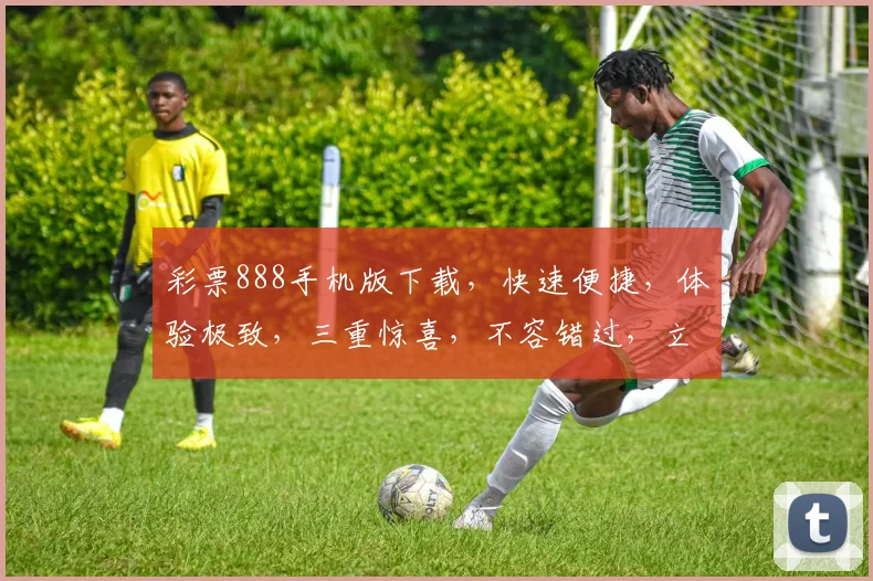 彩票888手机版下载，快速便捷，体验极致，三重惊喜，不容错过，立即下载