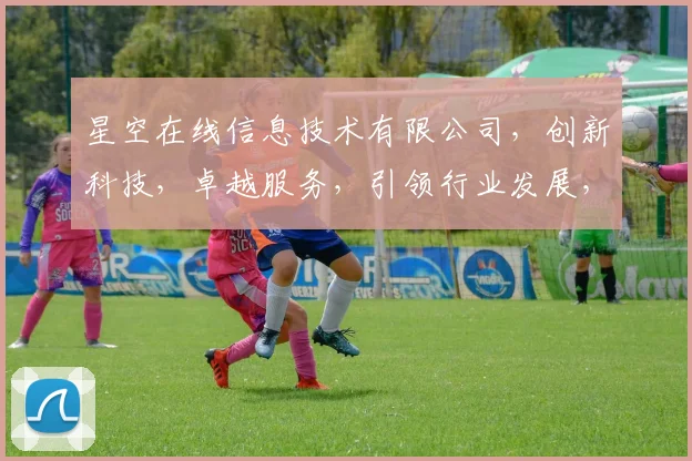 星空在线信息技术有限公司，创新科技，卓越服务，引领行业发展，三重保障，首选企业。
