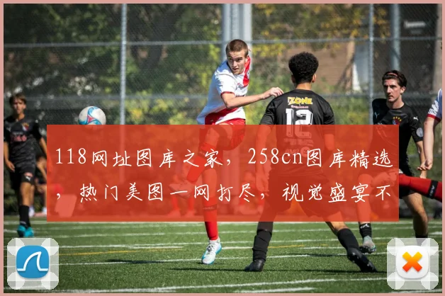 118网址图库之家，258cn图库精选，热门美图一网打尽，视觉盛宴不容错过