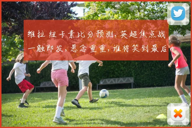 维拉 纽卡素比分预测,英超焦点战一触即发,悬念重重,谁将笑到最后