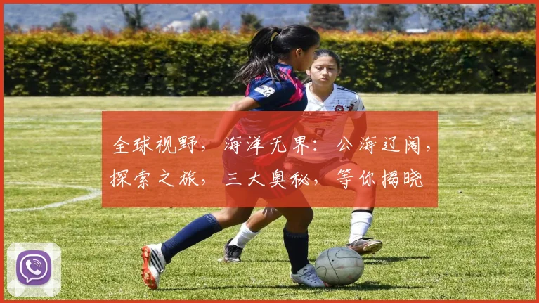 全球视野，海洋无界：公海辽阔，探索之旅，三大奥秘，等你揭晓
