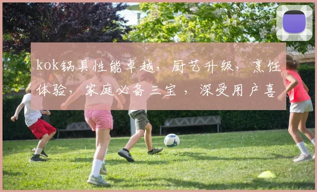 kok锅具性能卓越，厨艺升级，烹饪体验，家庭必备三宝 ，深受用户喜爱