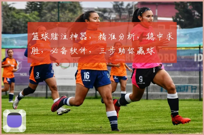篮球赌注神器，精准分析，稳中求胜，必备软件，三步助你赢球